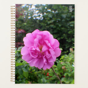 A Single Pink Flower Planner