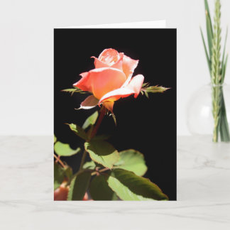 A single rose -a card