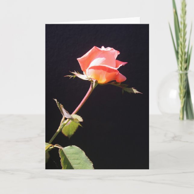 A single rose card (Front)