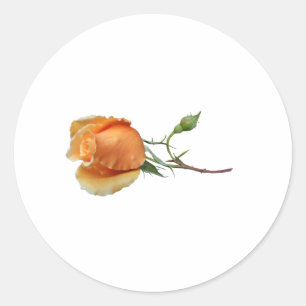 A single rose cutting classic round sticker
