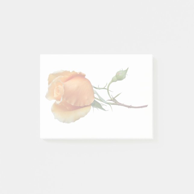 A single rose cutting       post-it notes (Front)