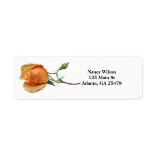 A single rose cutting return address label