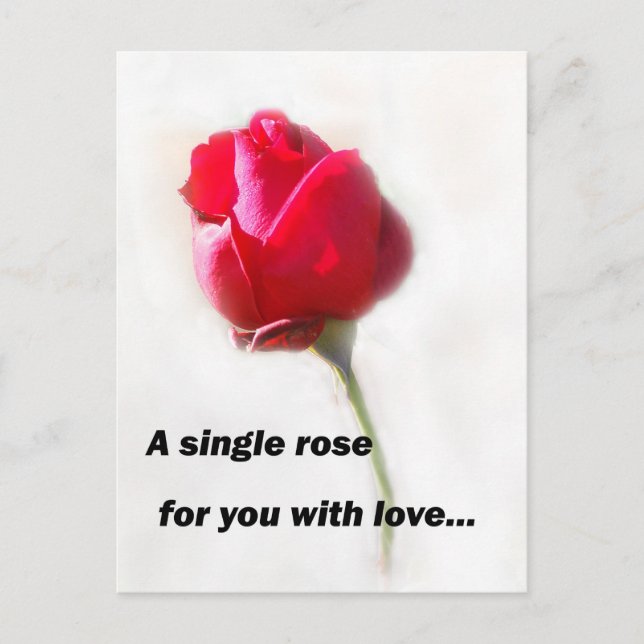 A single rose for you with love... postcard (Front)