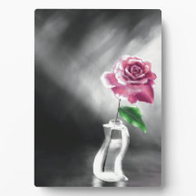 A Single Rose