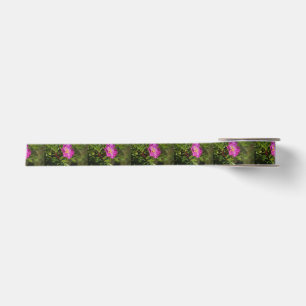 A Single Wild Rose Satin Ribbon