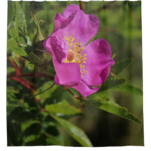 A Single Wild Rose Shower Curtain