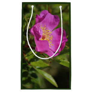 A Single Wild Rose Small Gift Bag