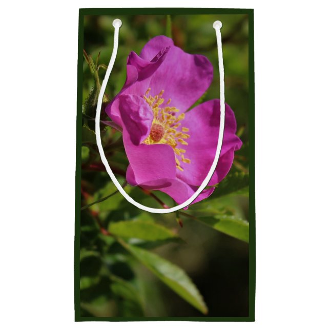 A Single Wild Rose Small Gift Bag (Front)