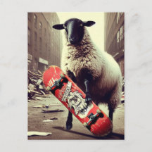 A Skateboarding Sheep