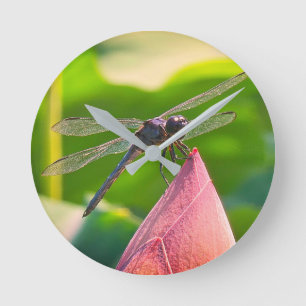 A Slaty Skimmer dragonfly Round Clock