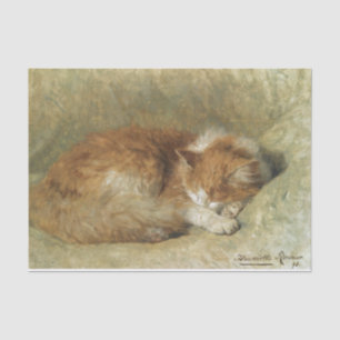 A Sleeping Cat by Henriette Ronner-Knip Tissue Paper