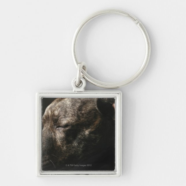 A sleeping pit bull dog key ring (Front)