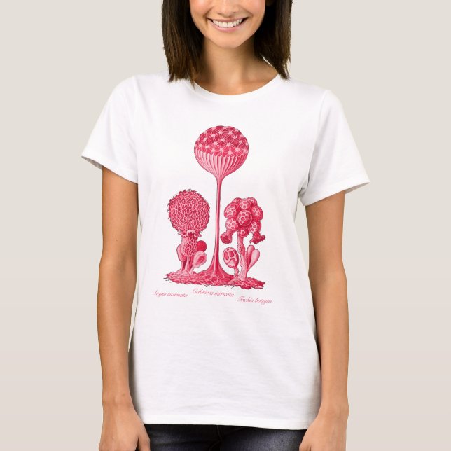 A Slime Mould T-Shirt (Front)