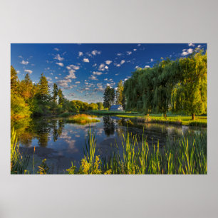 A slough of the Flathead River catches morning Poster