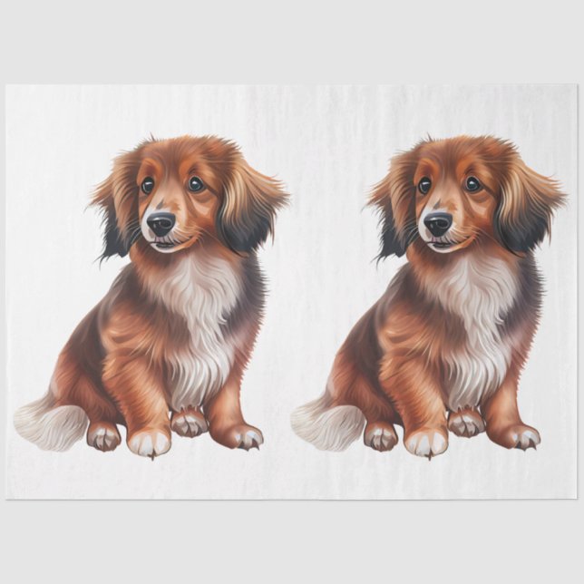 A Small Dog Series Design 18 Tissue Paper (Front)