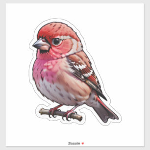 A Small Red Bird
