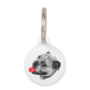 A Small Warm Signal Pet Tag