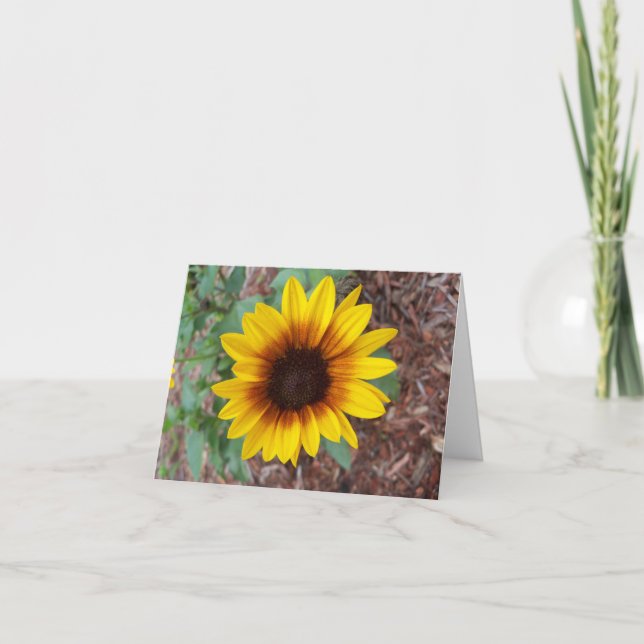 A small yellow sunflower in the flower garden note card (Front)