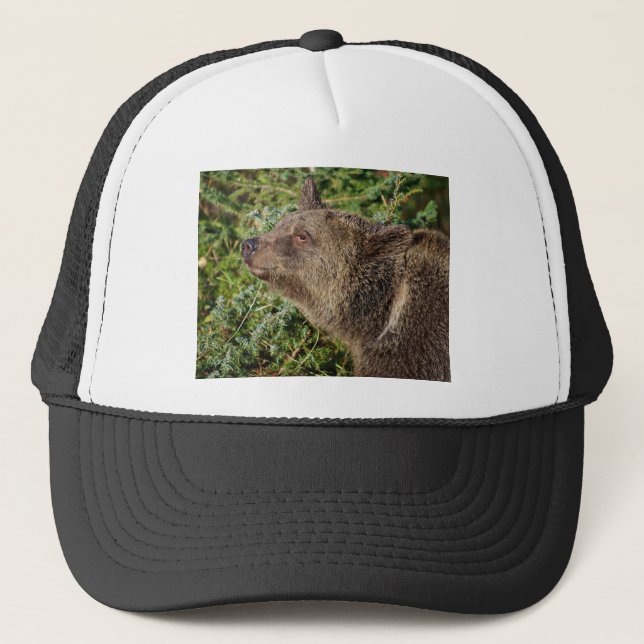 A Smiling Grizzly Bear Trucker Hat (Front)