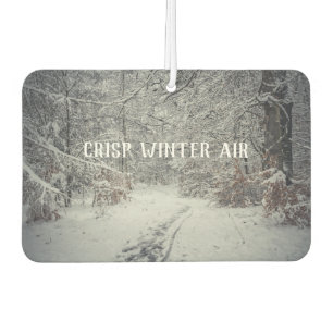 A snow-covered path through a winter forest car air freshener