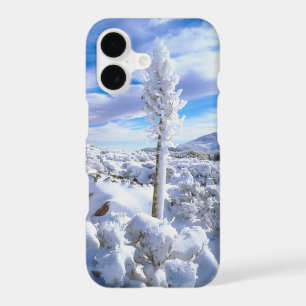 A snow covered yucca