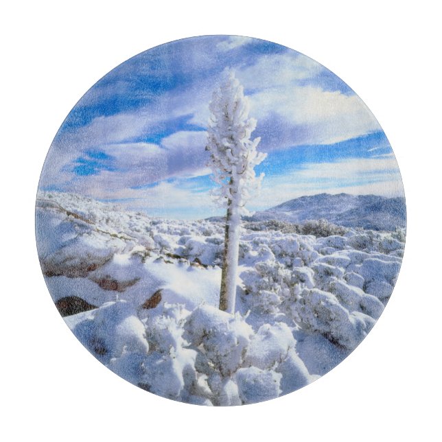 A snow covered yucca cutting board (Front)