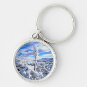 A snow covered yucca key ring