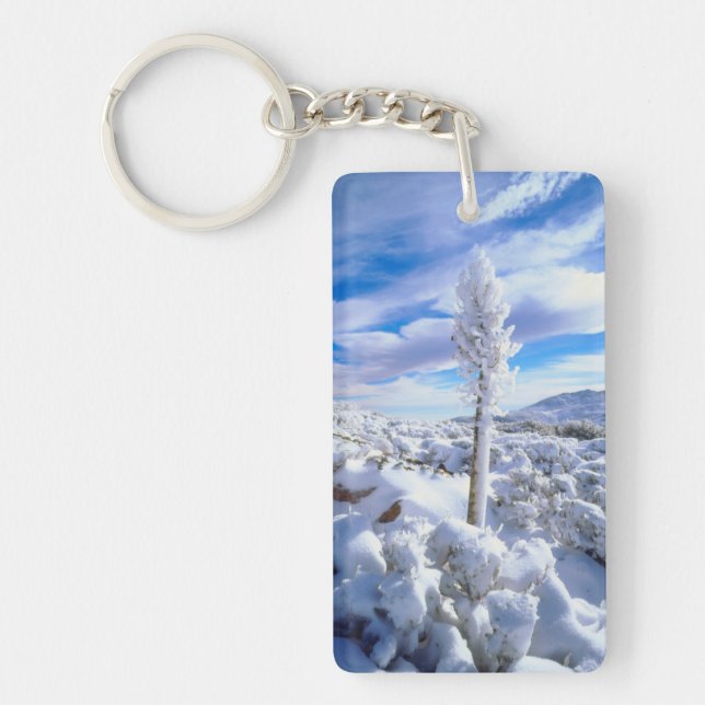 A snow covered yucca key ring (Front)