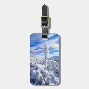 A snow covered yucca luggage tag