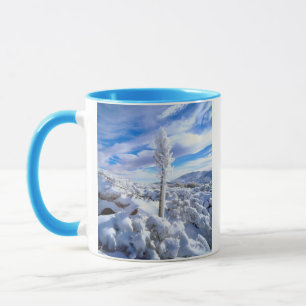 A snow covered yucca mug