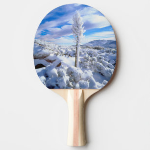 A snow covered yucca ping pong paddle