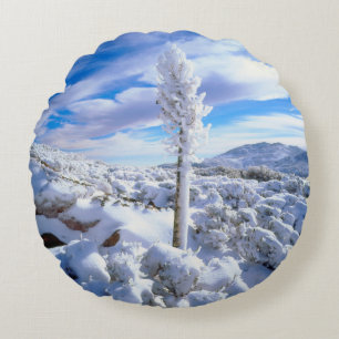 A snow covered yucca round cushion