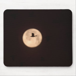 A Snow Goose Against A Full Moon New Mexico Mouse Pad