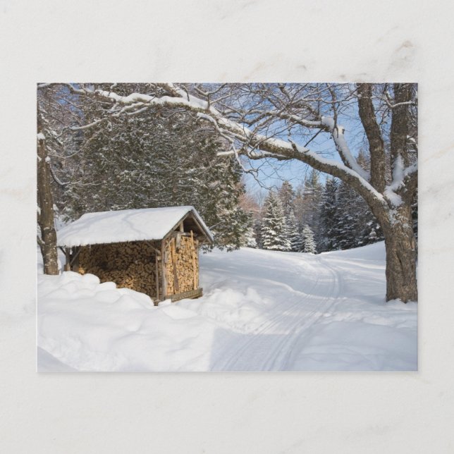 A snowy scene at the AMC's Little Lyford Pond Postcard (Front)