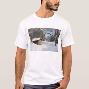 A snowy scene at the AMC's Little Lyford Pond T-Shirt