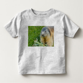 a sociable marmot on Toddler Pullover Hoodie