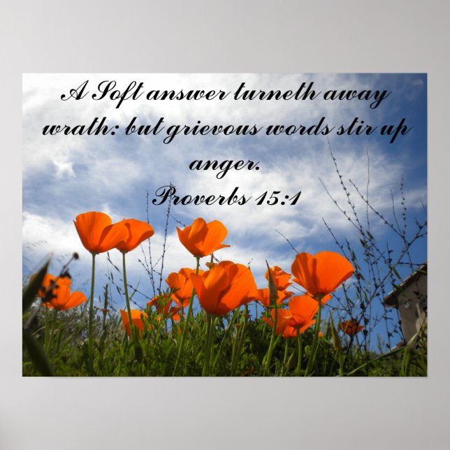 A Soft answer turneth away wrath... Poster (Front)
