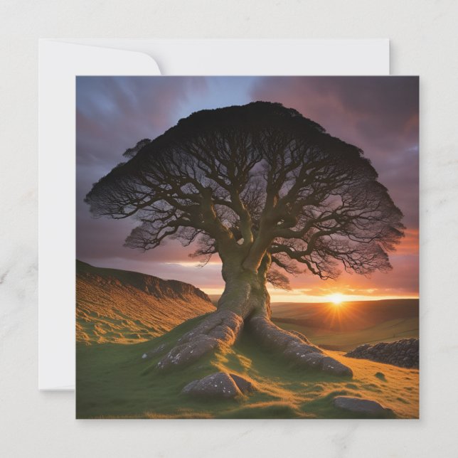  A Solitary Tree in Nature's Embrace (Front)