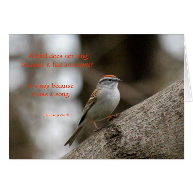 A song (Front Horizontal)