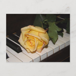 A Song From A Rose Postcard