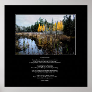A Song Softly Sung Poster Poem and Image