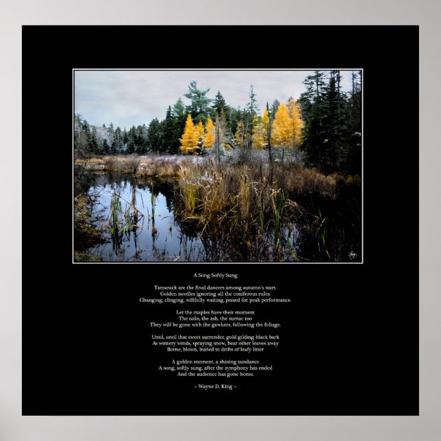 A Song Softly Sung Poster Poem and Image (Front)