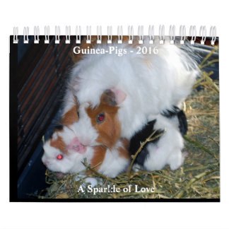 A Sparkle of Love Calendar