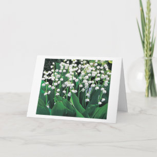 A SPECIAL CARD FOR A SPECIAL WOMAN