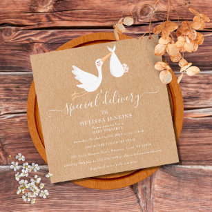 A Special Delivery Stork Baby Shower/Sprinkle Invitation