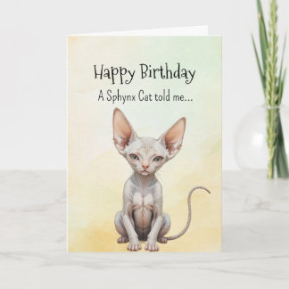 A Sphynx Cat Personality Birthday Fun Animal Card