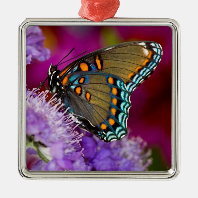 A Spicebush Swallowtail Butterfly Metal Ornament (Front)
