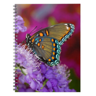 A Spicebush Swallowtail Butterfly Notebook