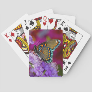 A Spicebush Swallowtail Butterfly Playing Cards