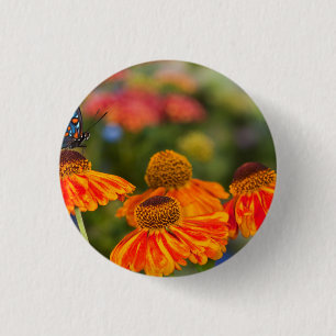 A Spicebush Swallowtail, Papilio troilus 3 Cm Round Badge